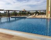 روی مدیترانهای از شرکت عزیزی در منطقه الفرجان دبی