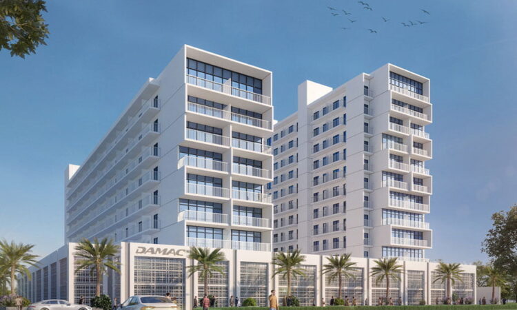 اِورگرینز (Evergreens) از شرکت داماک در داماک هیلز ۲