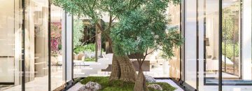 ویلاهای کوریسیا در البراری دبی